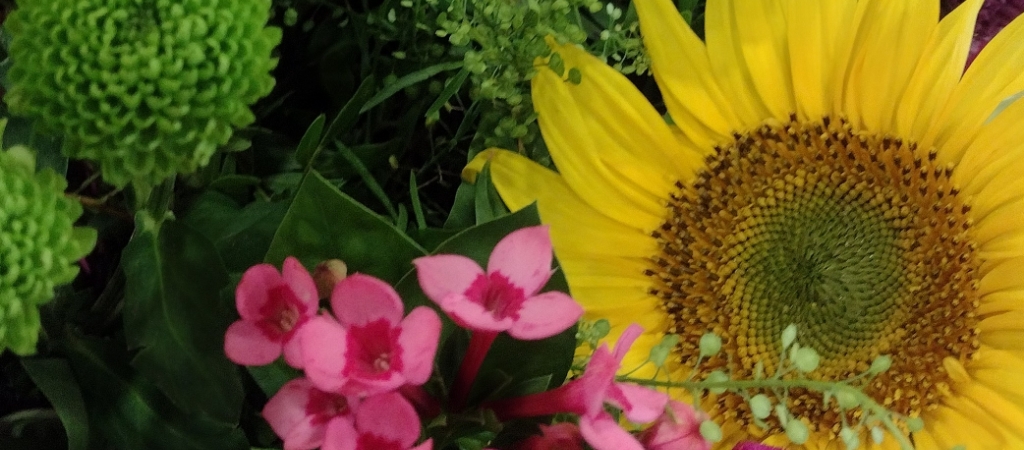 Flower Fayre